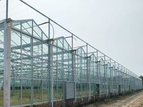 建造溫室大棚選址的標準和要求，快來看一下