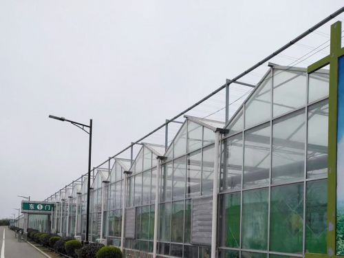 智能玻璃溫室大棚是如何建設(shè)的？